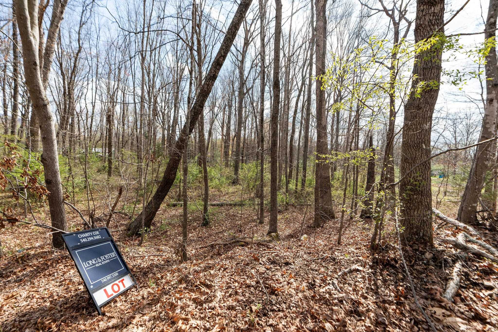 Lot 19 Crimora Mine Road Crimora, VA 24431 - Photo 10 of 49 a view of a park with large trees