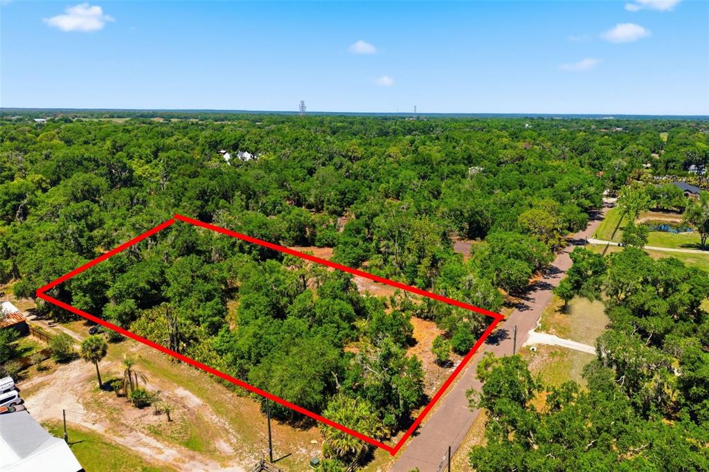 19084 Red Bird Lane, Unit LOT 2 Lithia, FL 33547 - Photo 3 of 20