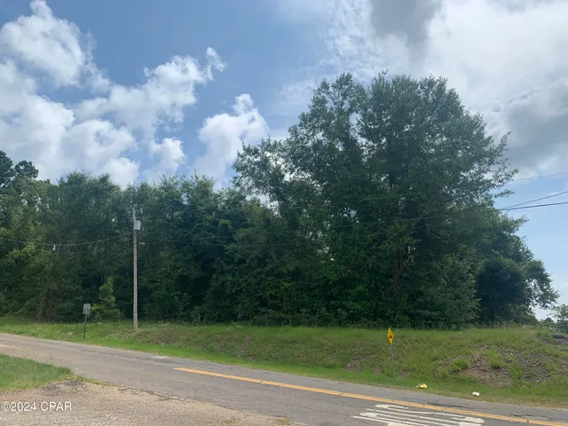 $174,000 | 0 Highway 90, Sneads, FL 32460