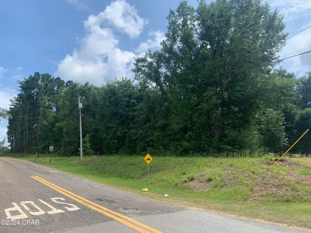 $174,000 | 0 Highway 90, Sneads, FL 32460