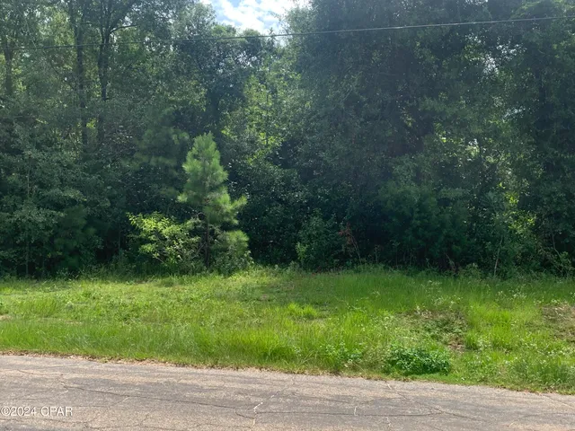 $174,000 | 0 Highway 90, Sneads, FL 32460