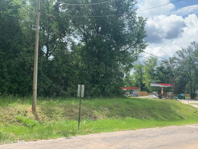 $174,000 | 0 Highway 90, Sneads, FL 32460