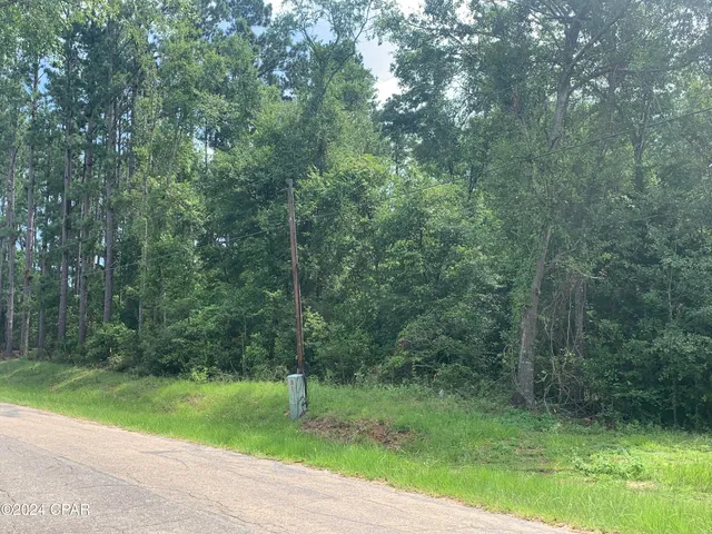 $174,000 | 0 Highway 90, Sneads, FL 32460