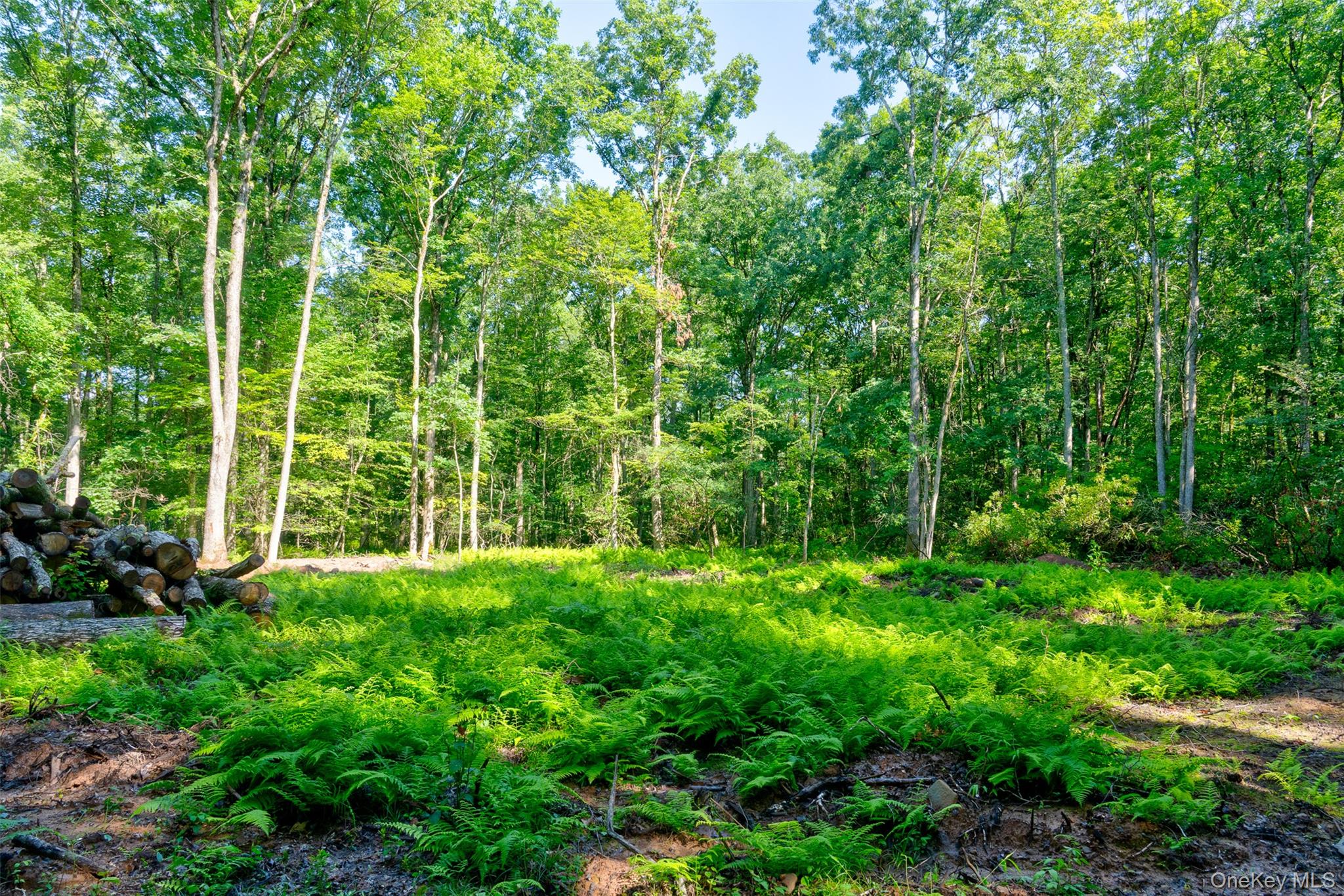 Lot 23 Perry Pond Road Narrowsburg, NY 12764 - Photo 14 of 17 Gallery Image 14
