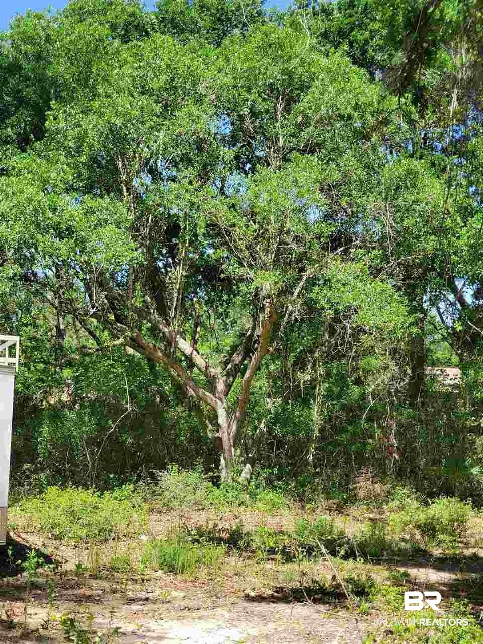 22148 Creek Road Gulf Shores, AL 36542 - Photo 1 of 8