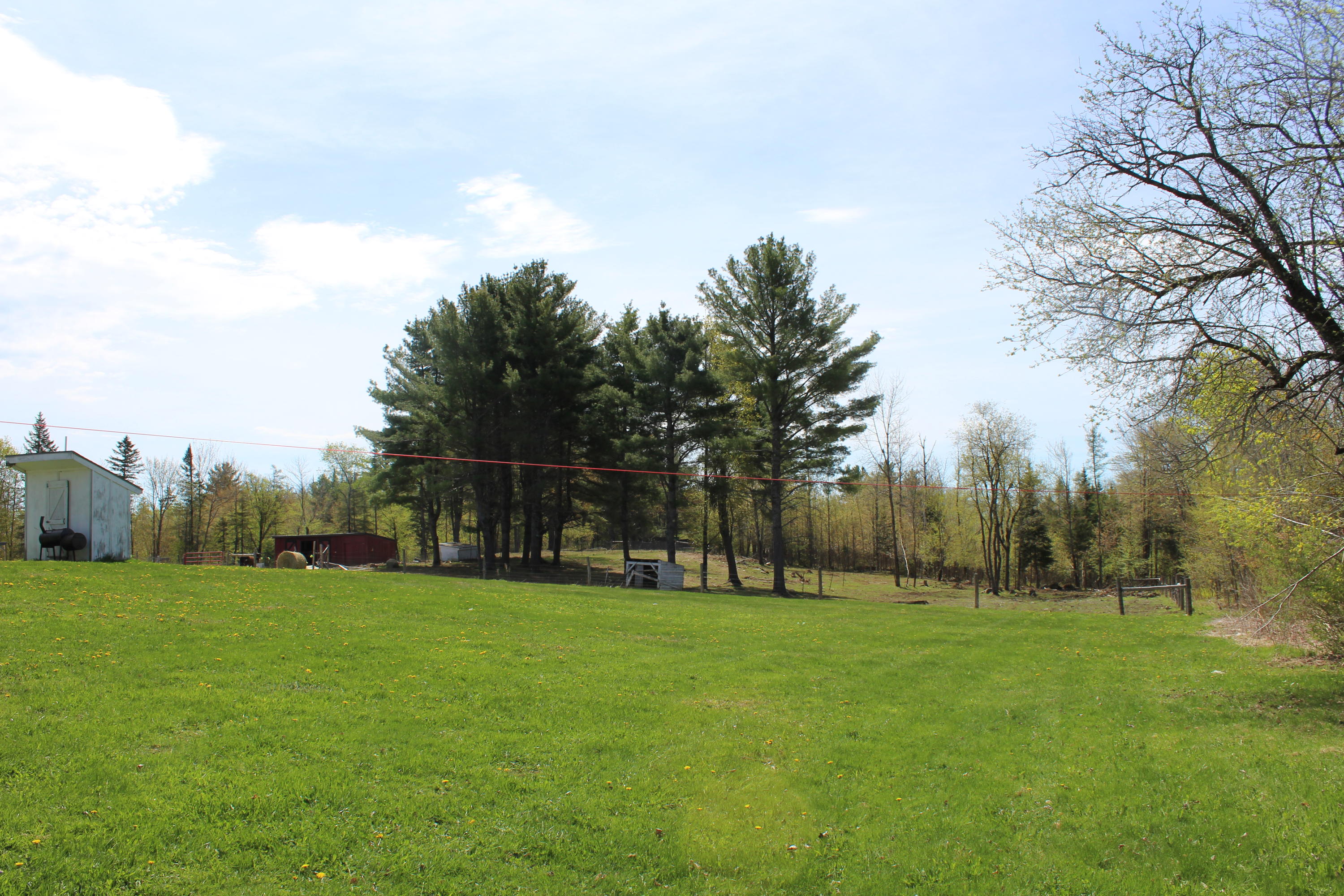 43 Rips Road Brownville, ME 04414 - Photo 3 of 103 pasture