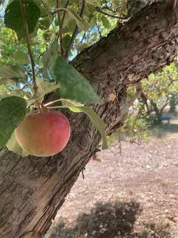 a view of a backyard of a house