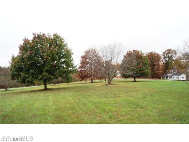 2380 Amostown Road Sandy Ridge, NC 27046 - Photo 16 of 16 Land.