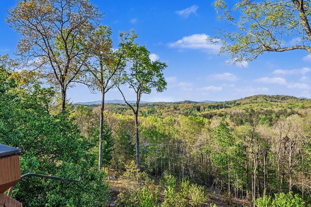431 Sun Rock Mountain Road Blue Ridge, GA 30513 - Photo 45 of 57 a view of lake from a yard