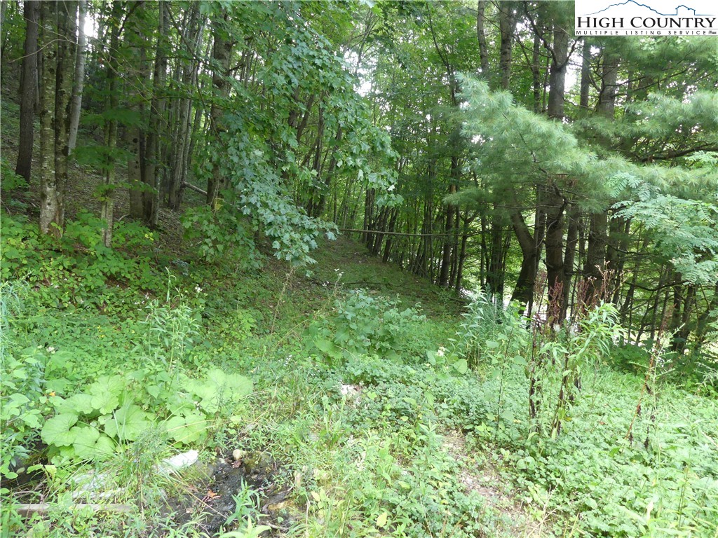 200 Pottertown Road Todd, NC 28684 - Photo 1 of 13 Gallery Image 1