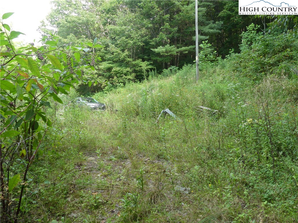 200 Pottertown Road Todd, NC 28684 - Photo 3 of 13 Gallery Image 3