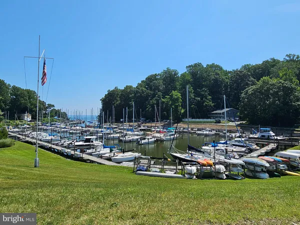 a view of lake with boats and trees in the background