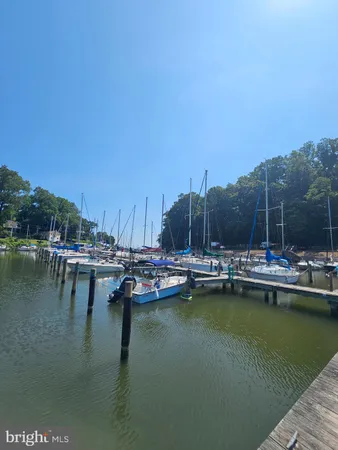 a view of a lake with boats and trees in the background