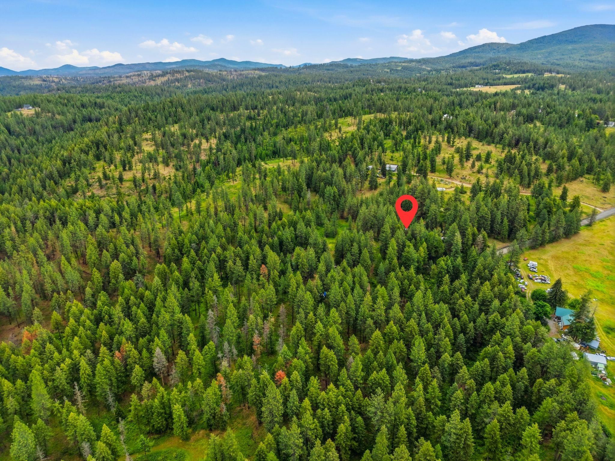 11603 East Deer Creek Road Chattaroy, WA 99003 - Photo 21 of 26