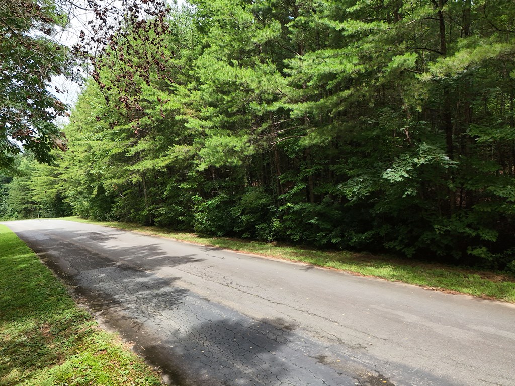 Lot 5 East Ridge Lane Ellijay, GA 30536 - Photo 9 of 24 Gallery Image 9
