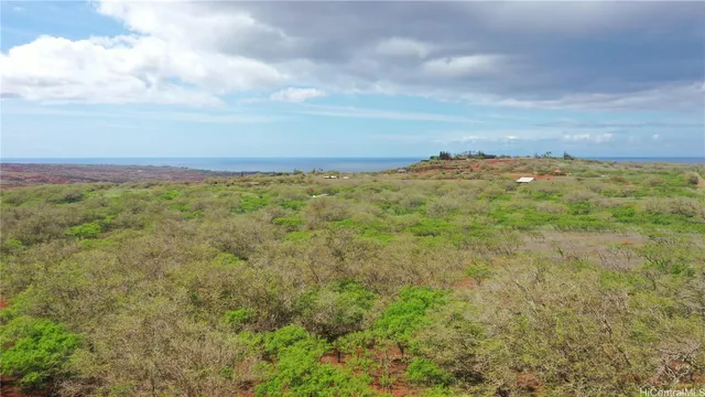 a view of an outdoor space and a yard