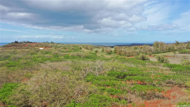 a view of a field with an ocean