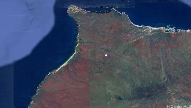 a bathroom with a shower and a tiled wall