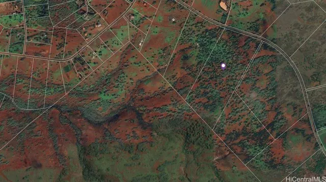 a view of a field with trees in the background