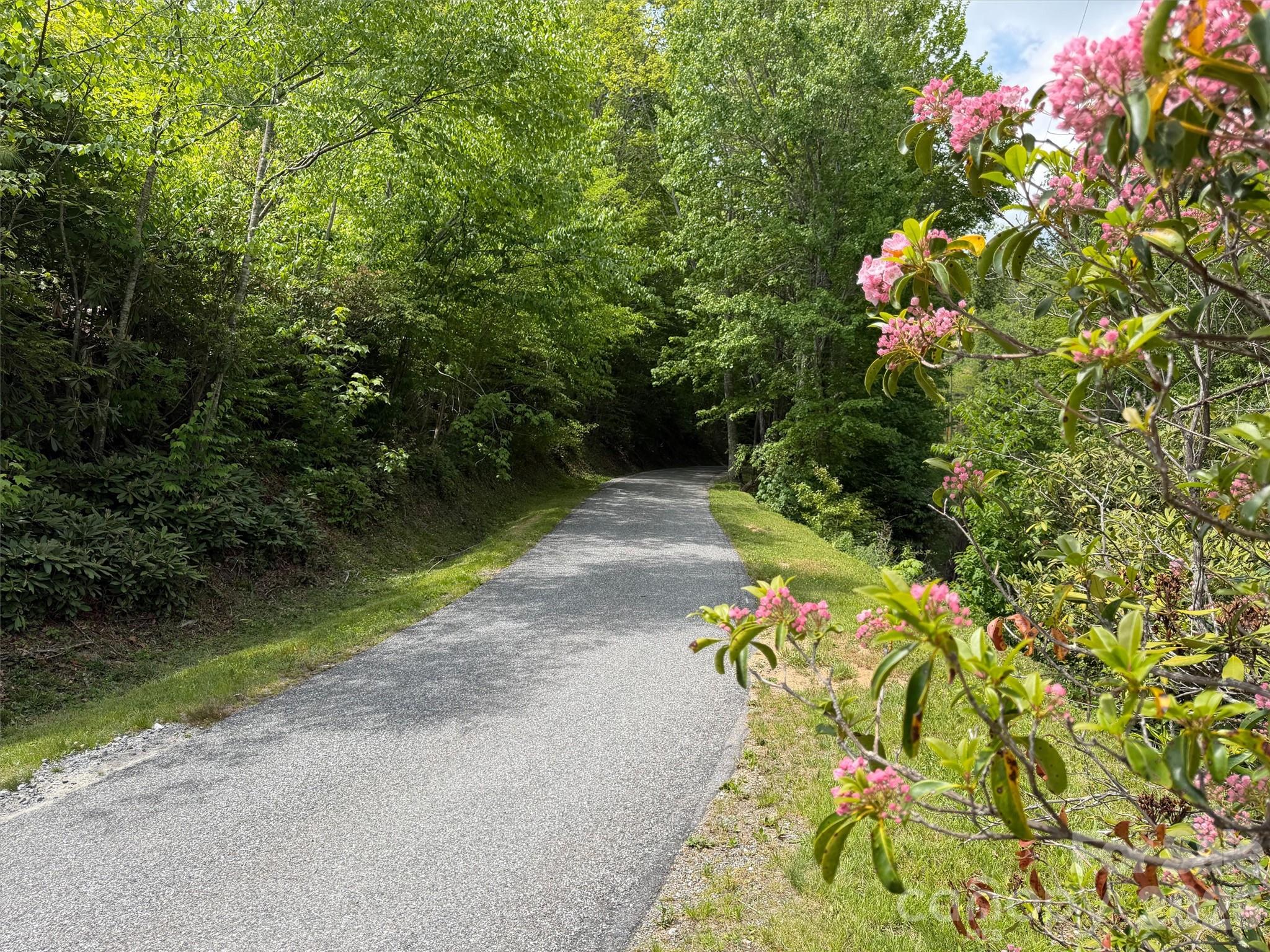 0 Leatherwood Road Maggie Valley, NC 28751 - Photo 5 of 15