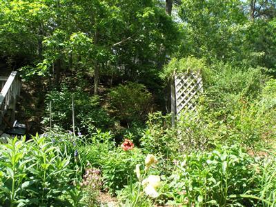 479 Black Pond Road Wellfleet, MA 02667 - Photo 26 of 30 Additional Photo