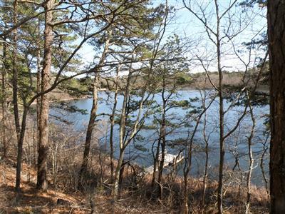 479 Black Pond Road Wellfleet, MA 02667 - Photo 4 of 30 Additional Photo