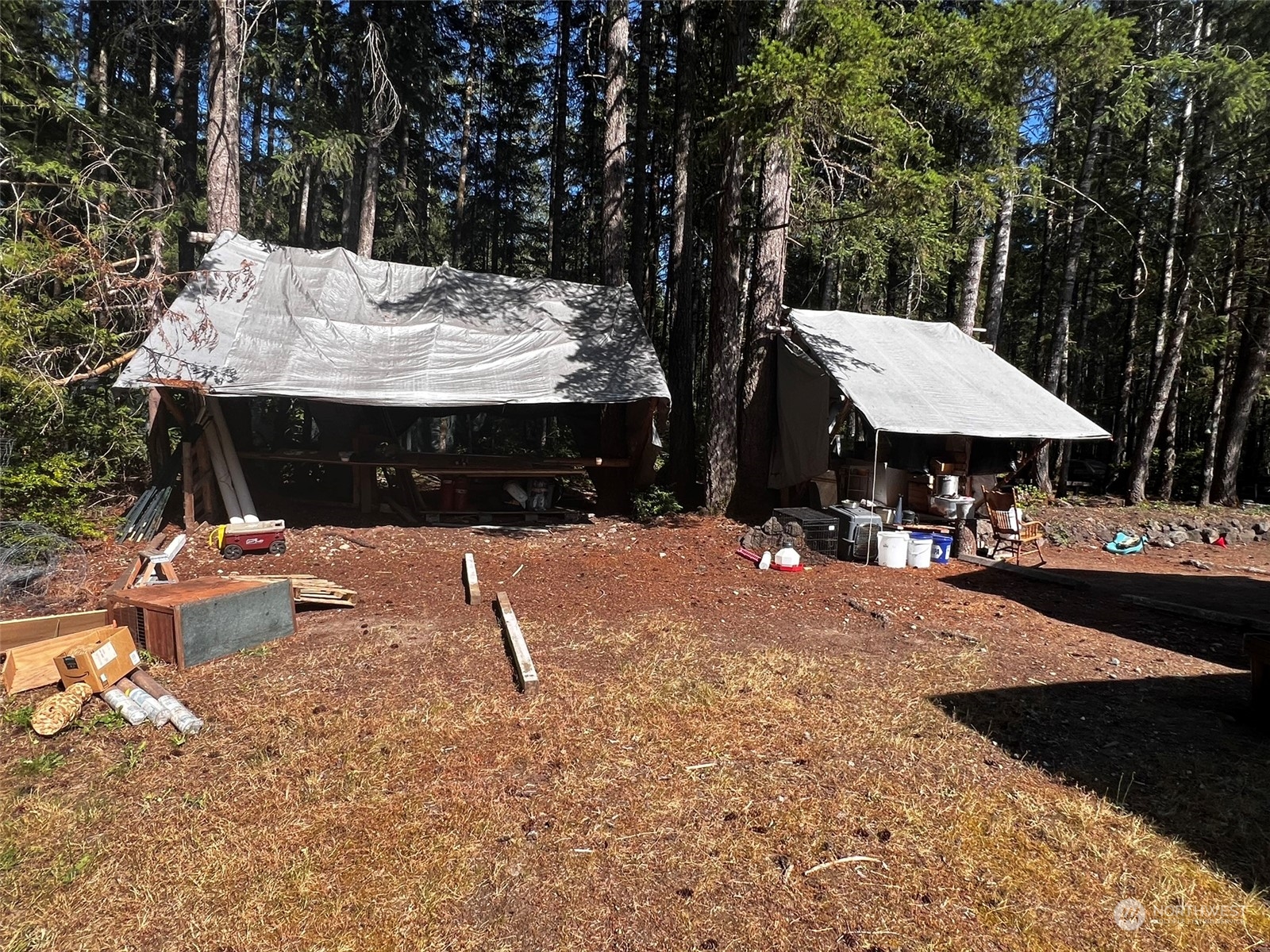 1705 Lewis Road West Seabeck, WA 98380 - Photo 14 of 28 Gallery Image 14