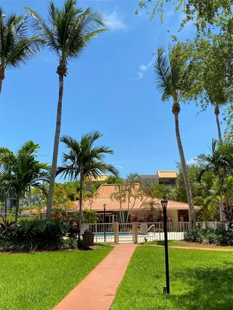 a view of a palm trees