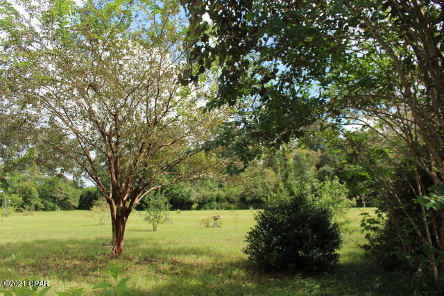 4911 Basswood Road Bascom, FL 32423 - Photo 44 of 115
