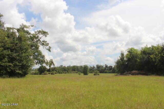 4911 Basswood Road Bascom, FL 32423 - Photo 54 of 115