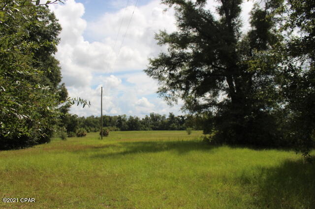 4911 Basswood Road Bascom, FL 32423 - Photo 56 of 115