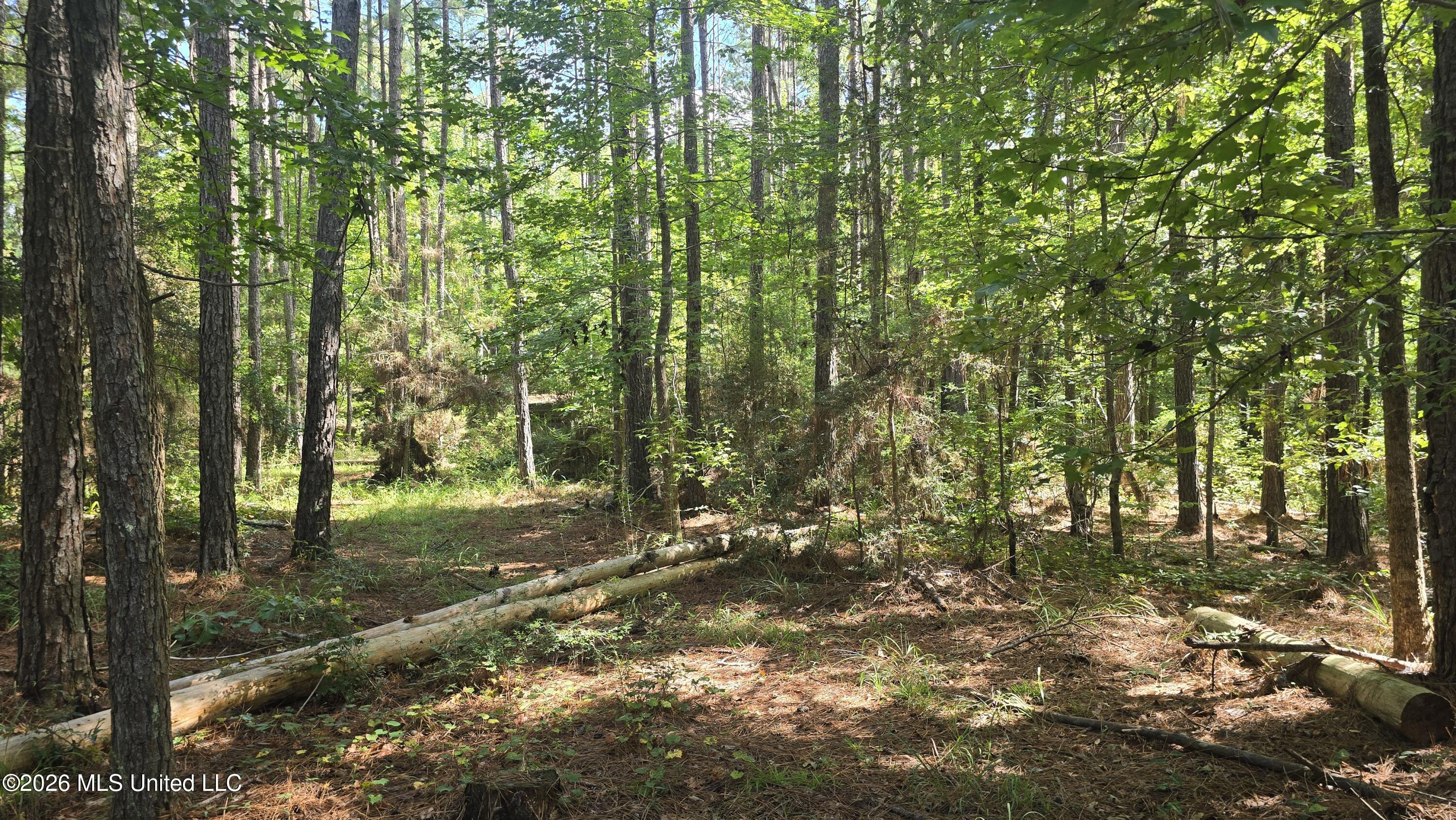 3190 Northeast Quentin Tower Road McCall Creek, MS 39647 - Photo 24 of 33 20260811_100748