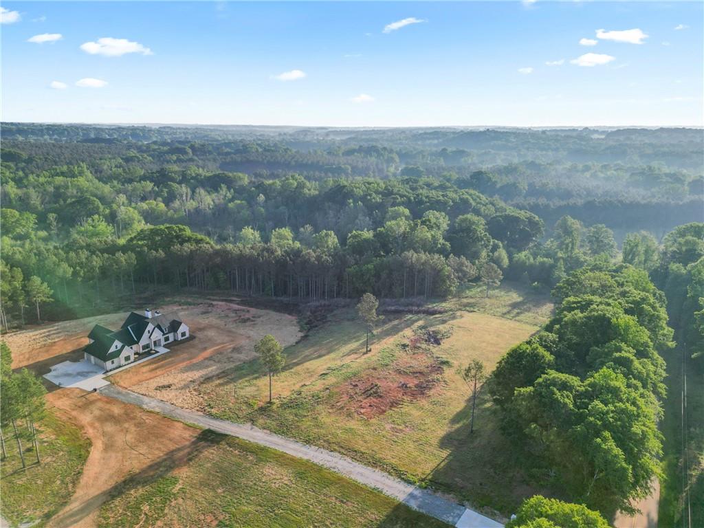 1663 Watkins Farm Road Nicholson, GA 30565 - Photo 57 of 64