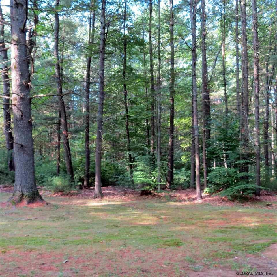 97 Potter Road Moreau, NY 12831 - Photo 8 of 8 Photo 8