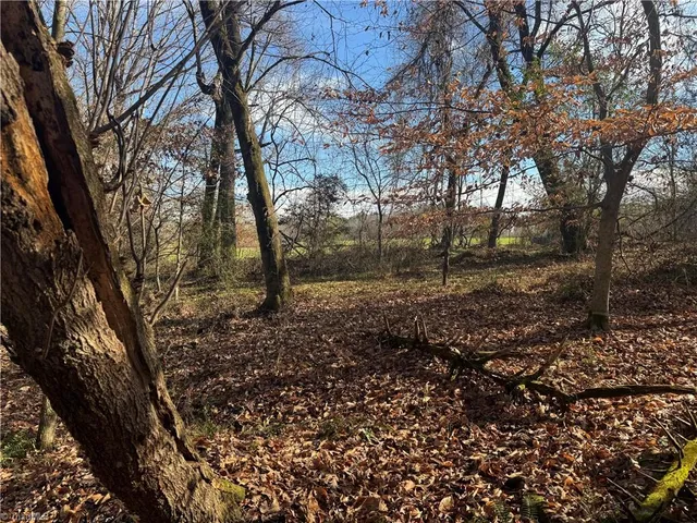 $69,500 | 0 Mathis Mill Road, Roaring River, NC 28669