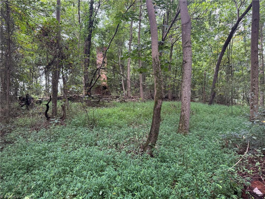 0 Mathis Mill Road Roaring River, NC 28669 - Photo 12 of 20