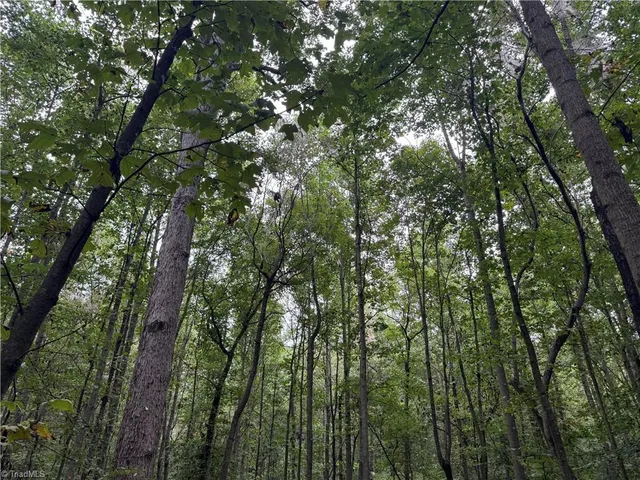 $69,500 | 0 Mathis Mill Road, Roaring River, NC 28669