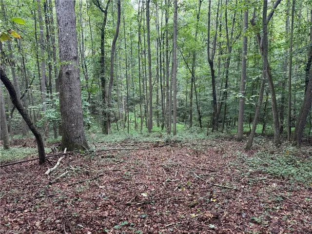 $69,500 | 0 Mathis Mill Road, Roaring River, NC 28669