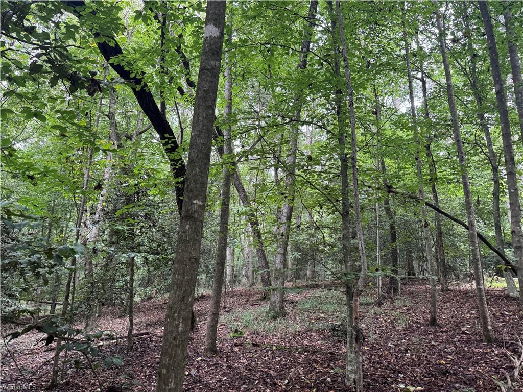 0 Mathis Mill Road Roaring River, NC 28669 - Photo 15 of 20