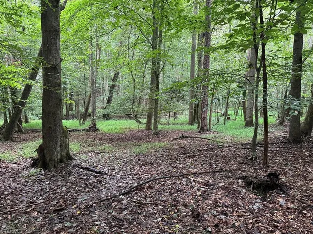 $69,500 | 0 Mathis Mill Road, Roaring River, NC 28669