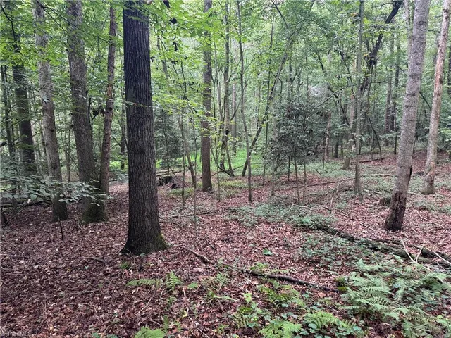 $69,500 | 0 Mathis Mill Road, Roaring River, NC 28669