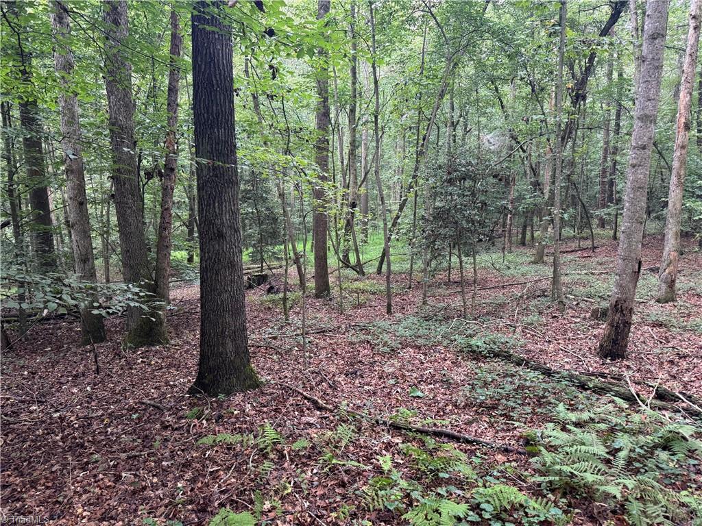 0 Mathis Mill Road Roaring River, NC 28669 - Photo 17 of 20