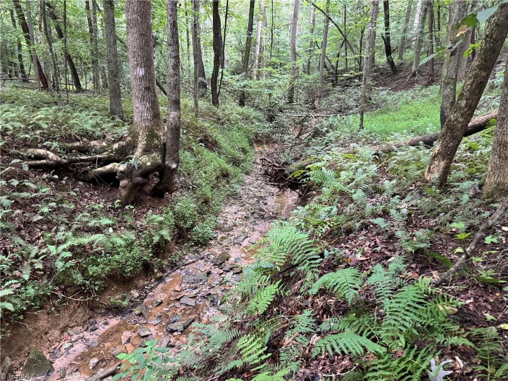 0 Mathis Mill Road Roaring River, NC 28669 - Photo 19 of 20