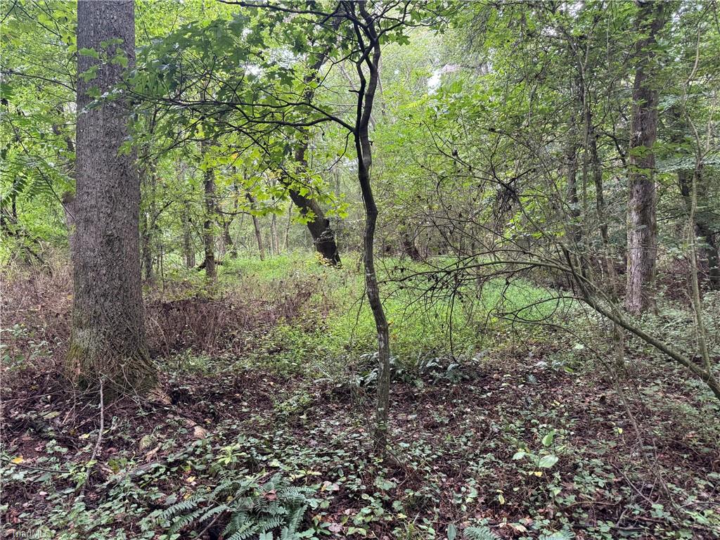 0 Mathis Mill Road Roaring River, NC 28669 - Photo 20 of 20