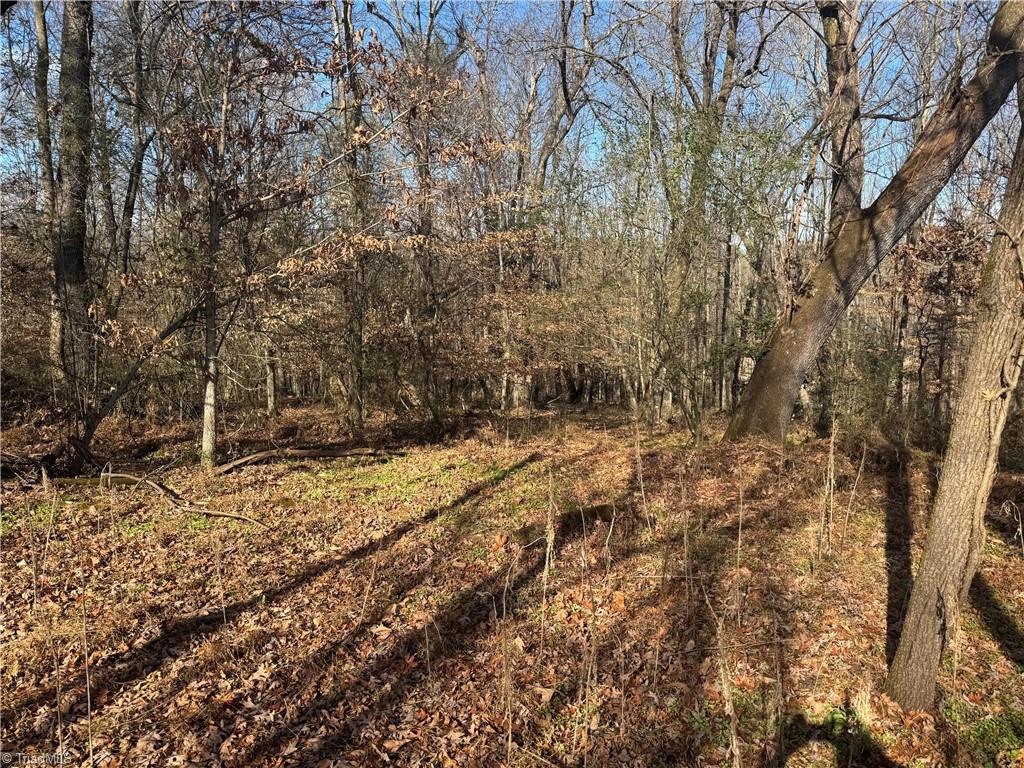 0 Mathis Mill Road Roaring River, NC 28669 - Photo 5 of 20