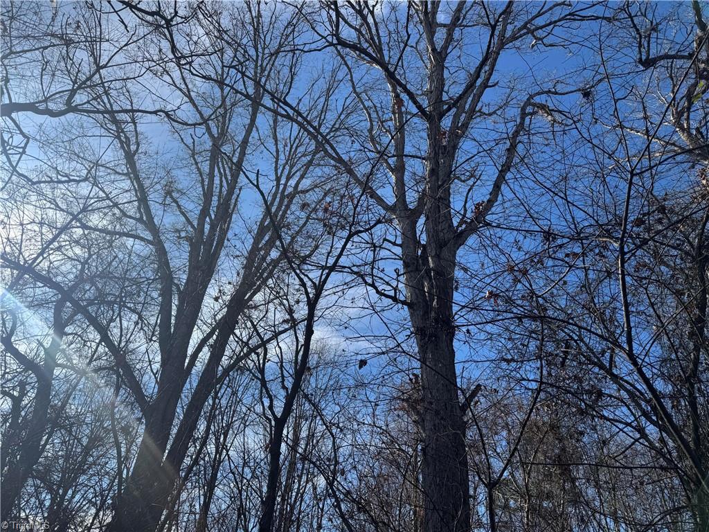 0 Mathis Mill Road Roaring River, NC 28669 - Photo 6 of 20