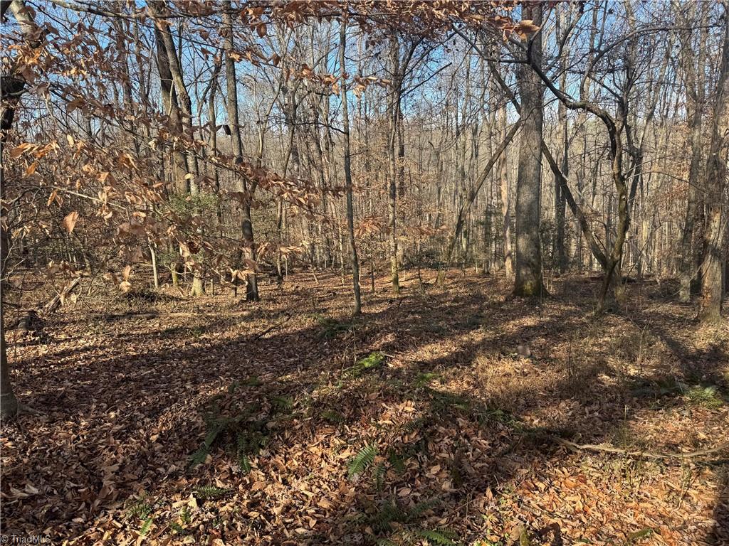 0 Mathis Mill Road Roaring River, NC 28669 - Photo 8 of 20