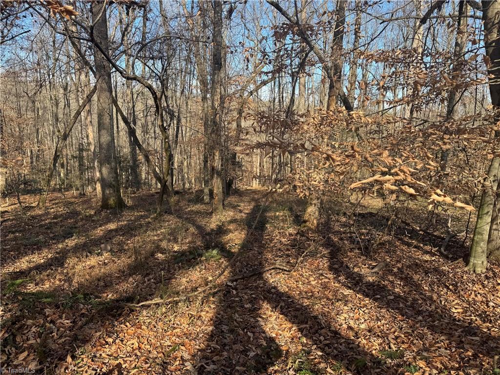 0 Mathis Mill Road Roaring River, NC 28669 - Photo 9 of 20