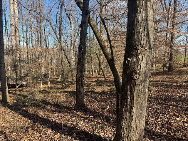 $69,500 | 0 Mathis Mill Road, Roaring River, NC 28669