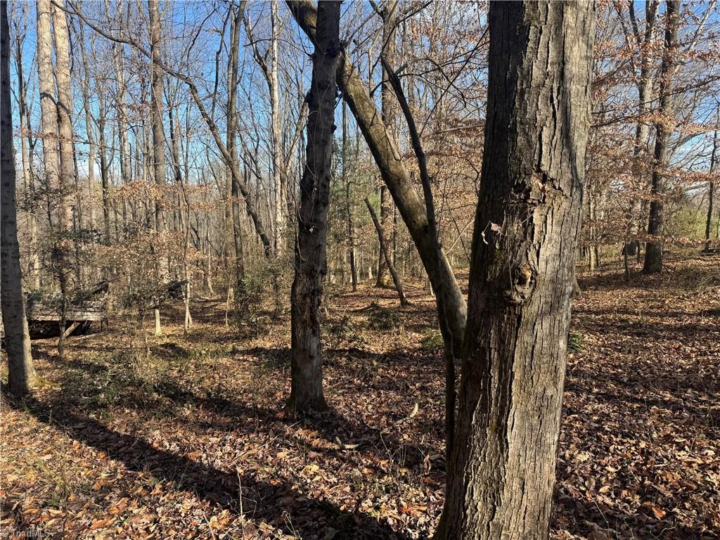 0 Mathis Mill Road Roaring River, NC 28669 - Photo 10 of 20